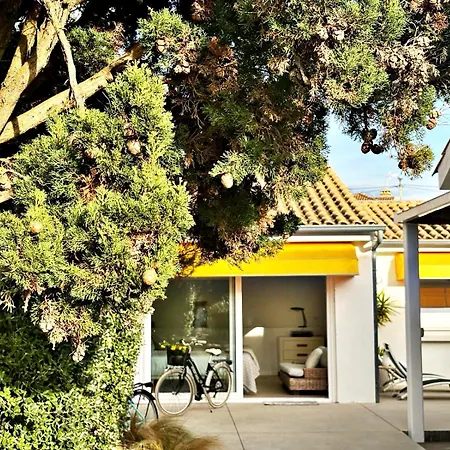 Holibai, Panxon, Diseno, Elegancia Y Confort Cerca Del Mar *