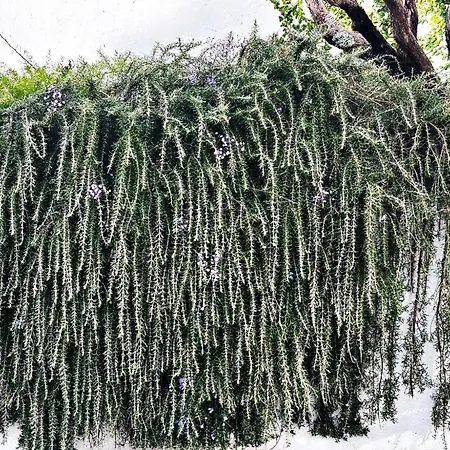 Holibai, Panxon, Diseno, Elegancia Y Confort Cerca Del Mar 尼格兰